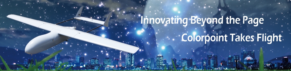Innovating Beyond the Page 